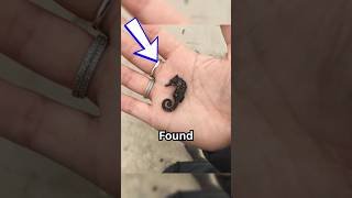 Incredible Rare Photos That Will Absolutely Blow Your Mind! Net Worth