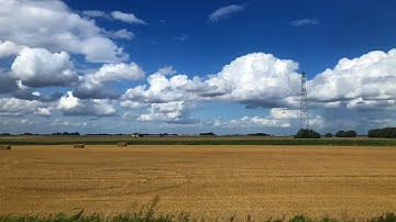 Roger & Brian Eno – Blonde