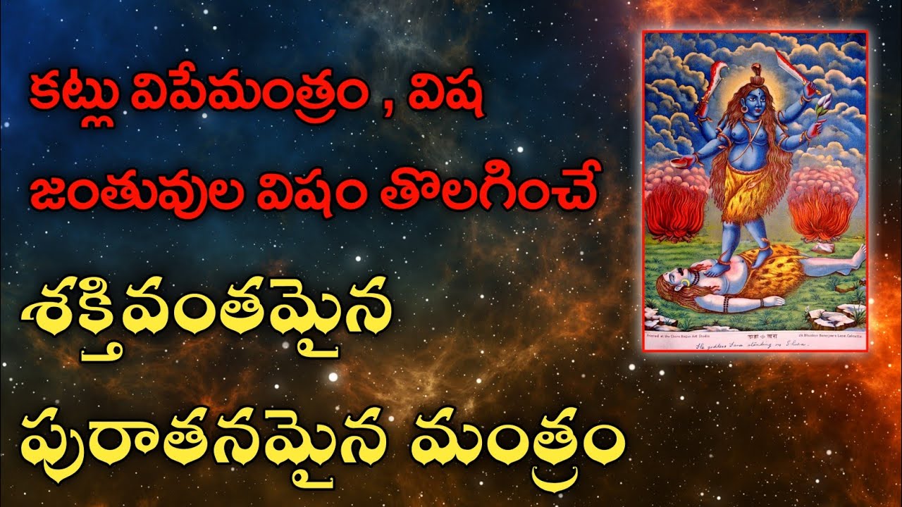 Мощная мантра, устраняющая укусы и обеспечивающая защиту от ядовитых животных.