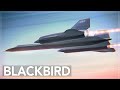 Why Was This Plane Invulnerable: The SR-71 Blackbird Story