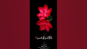 صباح الخير🌹اجمل حالات واتس اب🌹مقاطع انستجرام اسلاميه قصيره🌹ستوريات🌹سورة العصر🌹 بصوت جميل🌹 بدون حقوق