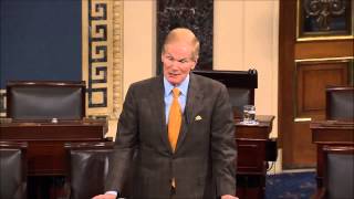 Nelson speaks about Verizon supercookies on Senate floor