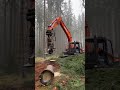 Amazing Tree-Cutting Robot Arm! Faster Than Humans Can Chop #robotarm #treecutting #automation