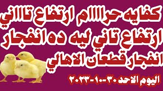 اسعار الكتكوت الأبيض اليوم سعر الكتاكيت اليوم الاحد ١-١٠-٢٠٢٣ في الشركات في مصر