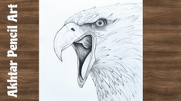 How To Draw Eagle Drawing Easy Step By Step, Realistic Eagle Face Drawing, Bird Drawing Tutorial 