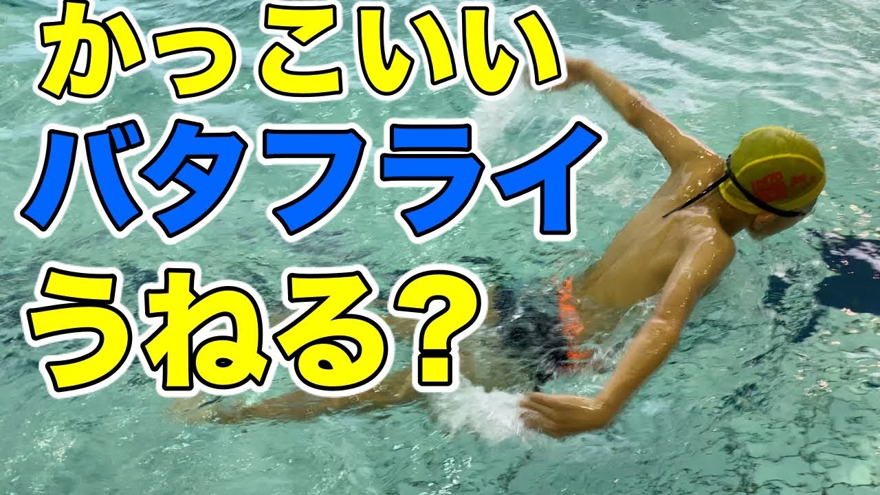 水泳でかっこいい バタフライ の絶対条件 うねりは必要 Youtube