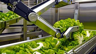 Blender with Stable Diffusion XL Tutorial - Lettuce factory