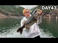 The Results Of Live Bait Fishing At Ikehara Dam A Mecca For Bass Fishing Fishing Bingo 18 The Results Of Live Bait Fishing At Ikehara Dam A Mecca For Bass Fishing Fishing Bingo 18