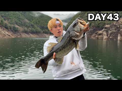 バス釣りの聖地「池原ダム」で泳がせ釣りしてみた結果【釣りビンゴ#18】のサムネイル