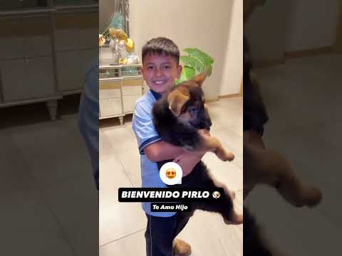 Arturo Vidal (@kingarturo23oficial) archived Instagram Stories compilation from May 16, 2026