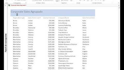 Access 1102 Usar agrupar ordenar y panel total