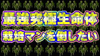 超課金ドッカンアベンジャーズで最強究極生命体の栽培マンを倒したい【ドッカンバトル】