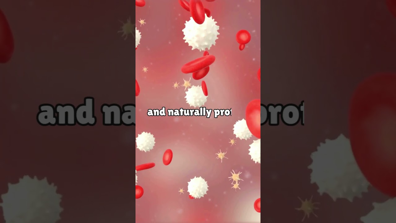 Shield Your Kidneys with Antioxidants