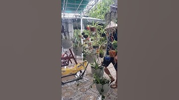 Anh trai say hi hihi #subscribers #sub #mientaylife #gardenlife #lifestyle #relax