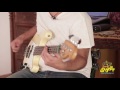 درس باص جيتار مع عز شهوان Finger Picking جروف تاني مستوى متقدم Ezz Shahwan Bass Guitar Lesson 