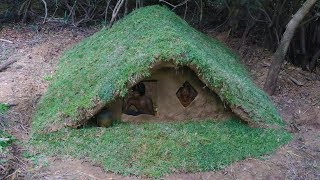 Build wooden house underground.