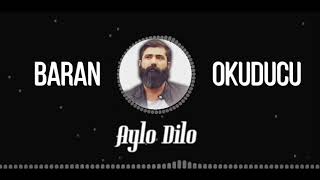 Baran Okuducu - Aylo Dilo Resimi