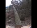 CUTTING BIG TALL TREES DOWN, IN TIGHT PLACES