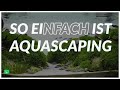 AQUARIUM EINRICHTEN STEP BY STEP | So machst Du ein perfektes Aquascaping Aquarium | GarnelenTv