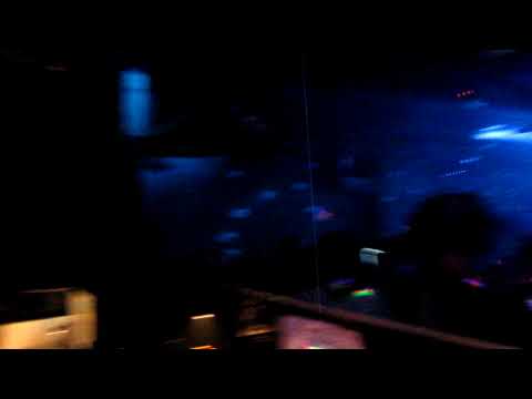 DJ MUKAI "on fire" @ The Absolute Halloween @ Club JB'S
