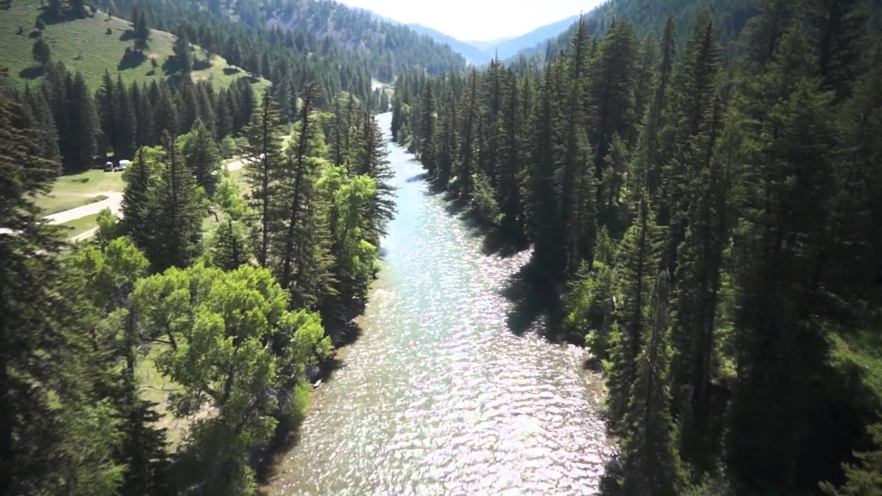 Grays River near Alpine, WY in the Bridger National Forest YouTube