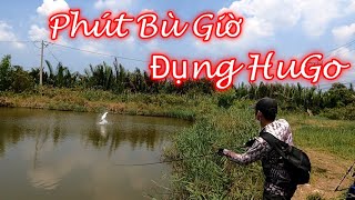 Săn Bắt Và Ẩm Thực | Câu Cá Chẽm Đầm Thiên Nhiên Đụng HuGo Ở Phút Bù Giờ /câu cá chẽm / lure fishing