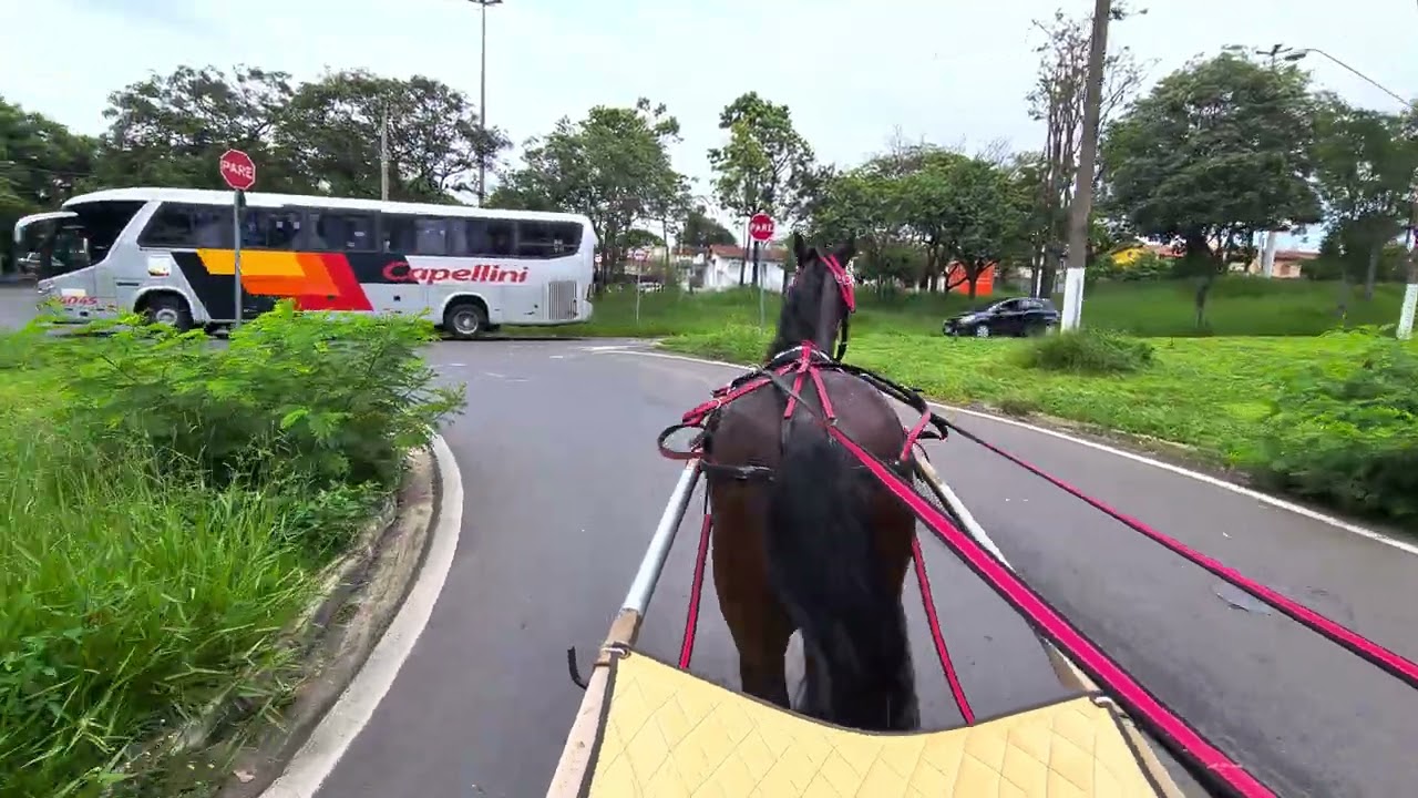 Andando de Charrete em Valinhos 2.0