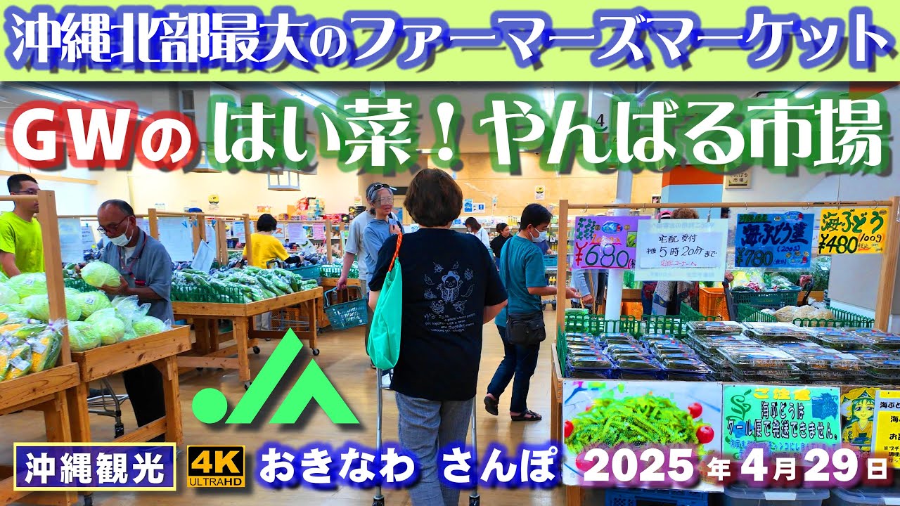 ◤沖縄旅行☂雨の日もOK◢ 北部最大のファーマーズ｢やんばる市場｣ ♯975 おきなわさんぽ 沖縄散歩 Farmers Market Yanbaru in Nago city, Okinawa.
