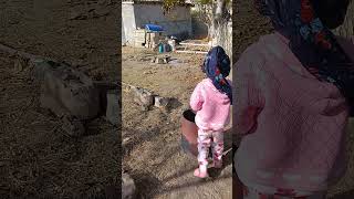 Boyu Kadar Kovayı Taşıdı