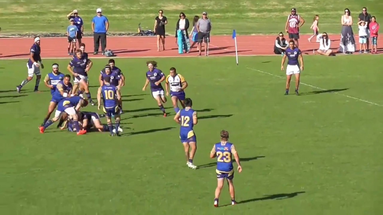 Ollie Walker Highlights: Openside Flanker (7)