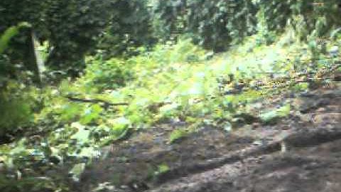 Minelab X-TERRA 705 [TEST]