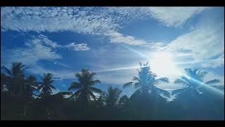 novo amor - colourway