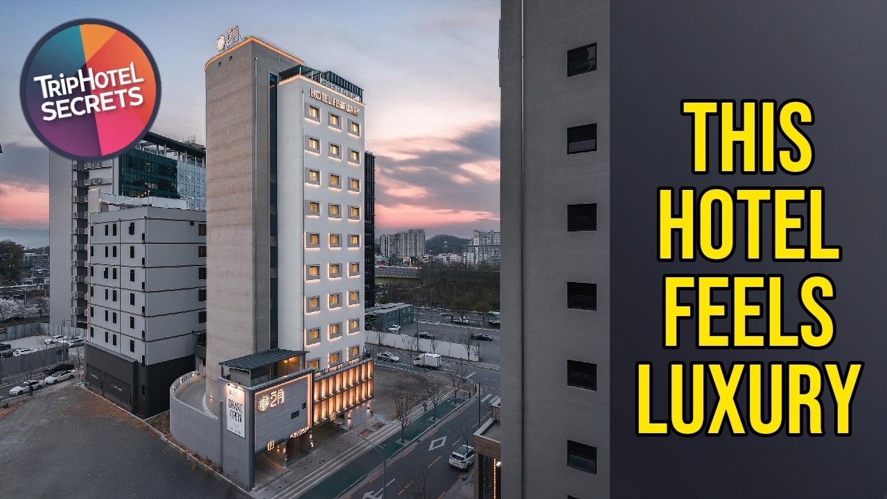 Hotel February LIONS PARK - This Hotel Feels Luxury | Daegu, South Korea🏨