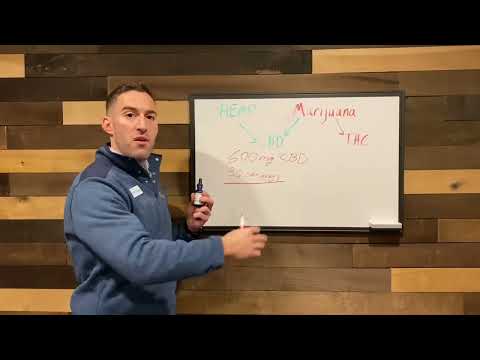 CBD Explained