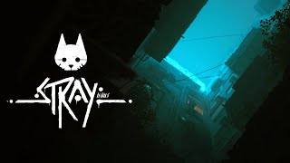 Stray | everything we know so far