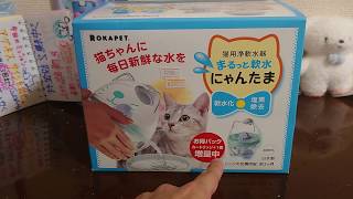 シロちゃん日記。#94『お水を飲む量が２倍になる？にゃんたま浄水器を買ってきました。』