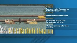 Plaquemines Parish responds to salt wedge