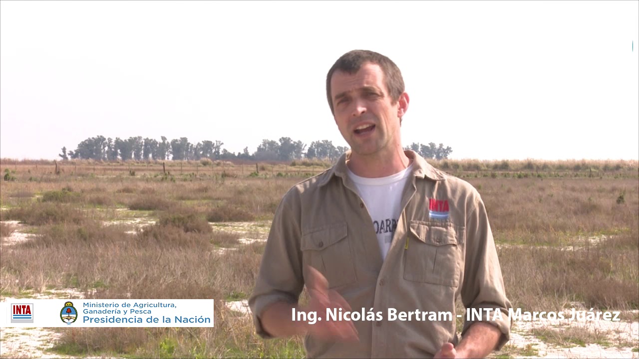INTA Marcos Juárez - Suelos salinos: selección de ambientes y muestreo de suelo