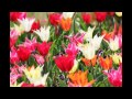 Belive~明日の自分をあきらめないで 堀江淳
