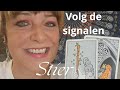 Stier Volg de signalen mei 26 lartistic6924@gmail.com 