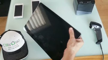 Pax Elys POS System Tablet, Hub, Workstation