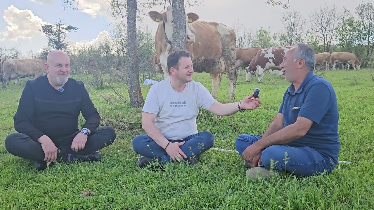 Tokatta Hayvancılık izlenimleri