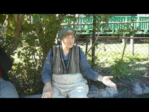 გორის მე–11 საჯარო სკოლა–''მთას ვუბრუნდებით შვილები''  ავტ