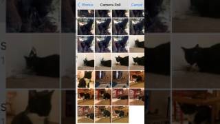 Creating a Prisma Photo Collage screenshot 1