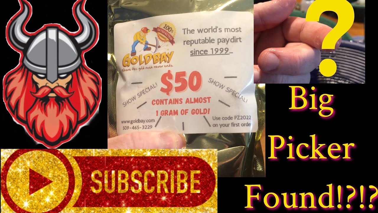 Goldbay paydirt review CHUNKY gold and our biggest picker yet!!!