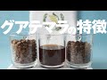 グアテマラのコーヒーの特徴「甘み/酸味/コク」おすすめ豆「コーヒー種類」