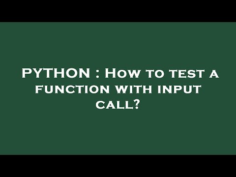 PYTHON : How to test a function with input call?