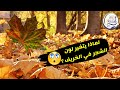 لماذا يتغير لون الشجر في الخريف  mp3
