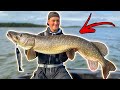 EDVIN CATCHES HIS BIGGEST PIKE THIS YEAR - Fishing Big Fish in Huge Bodies of Water | Team Galant