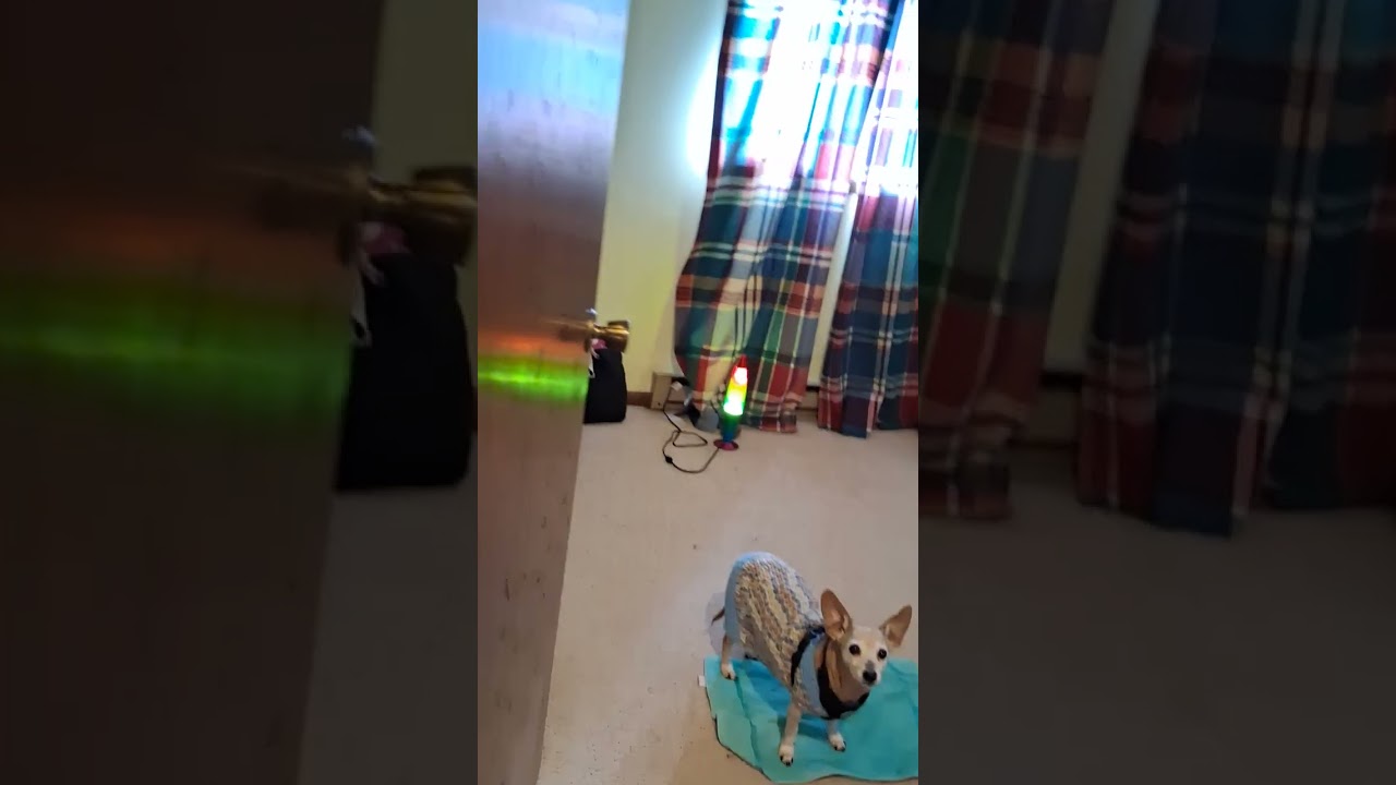 As Is Apartment Part 2